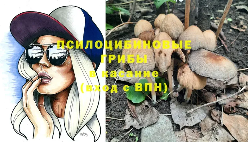 Псилоцибиновые грибы MAGIC MUSHROOMS  где купить   Гагарин 